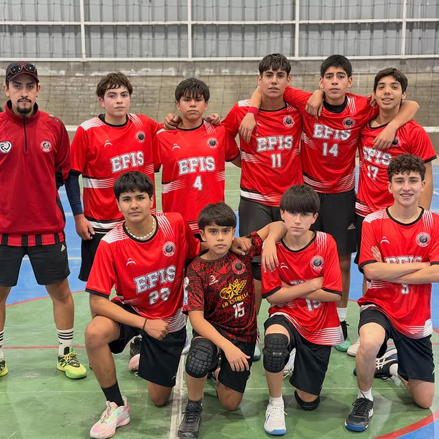 Comunidad EFIS