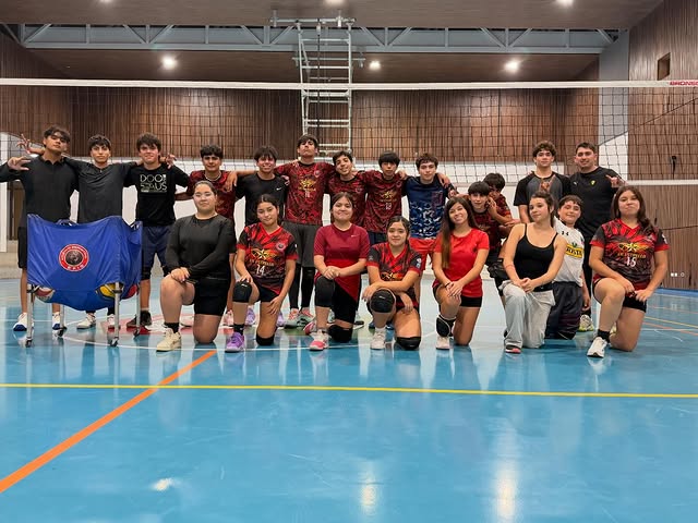 Atlético EFIS en acción
